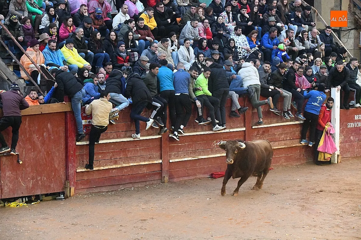 Capea lunes tarde con toros de Juan José Cano Muñoz/ Fotos: Adrián M.Pastor