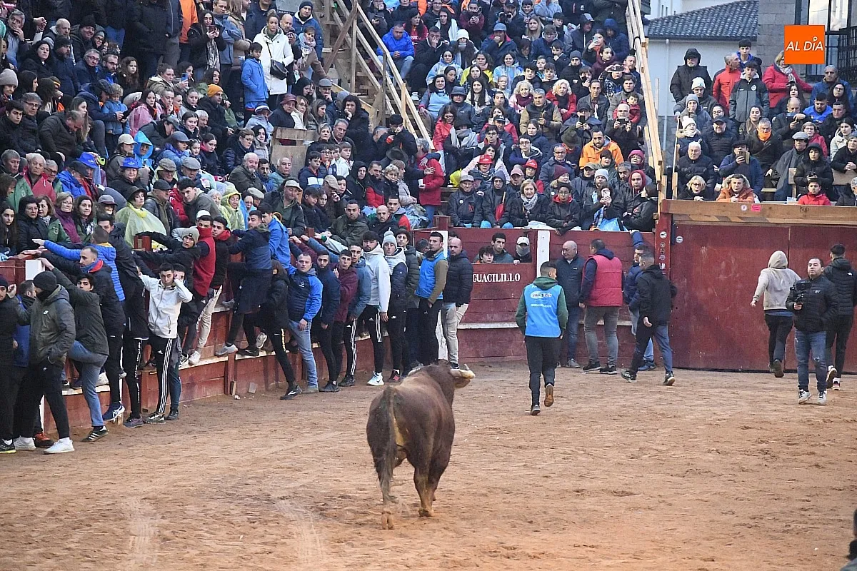 Capea lunes tarde con toros de Juan José Cano Muñoz/ Fotos: Adrián M.Pastor