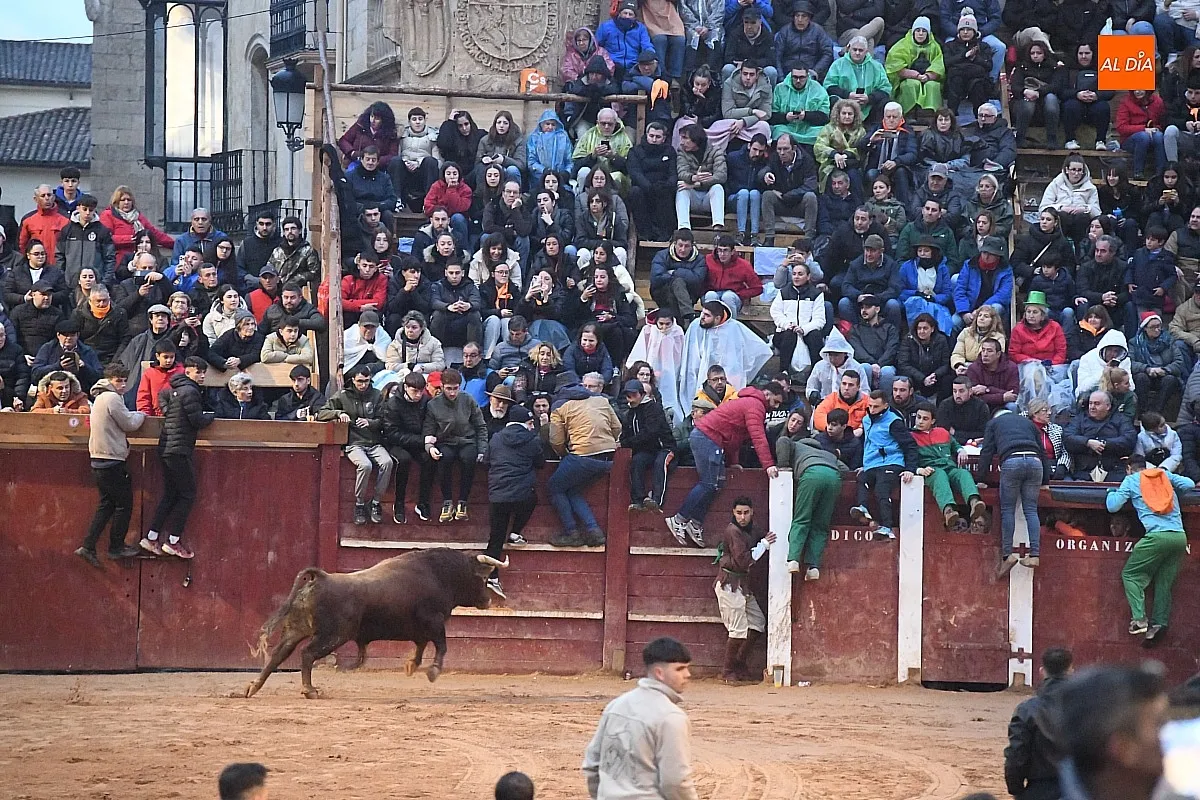 Capea lunes tarde con toros de Juan José Cano Muñoz/ Fotos: Adrián M.Pastor