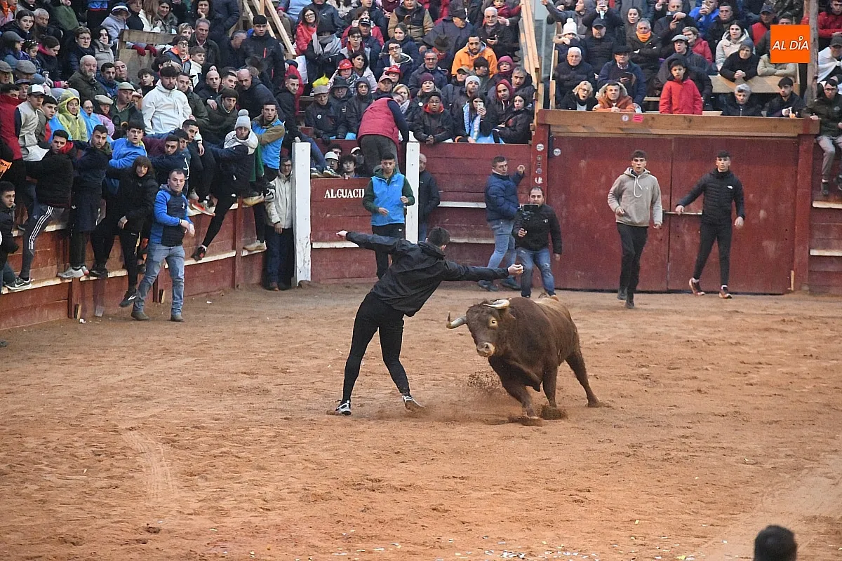 Capea lunes tarde con toros de Juan José Cano Muñoz/ Fotos: Adrián M.Pastor