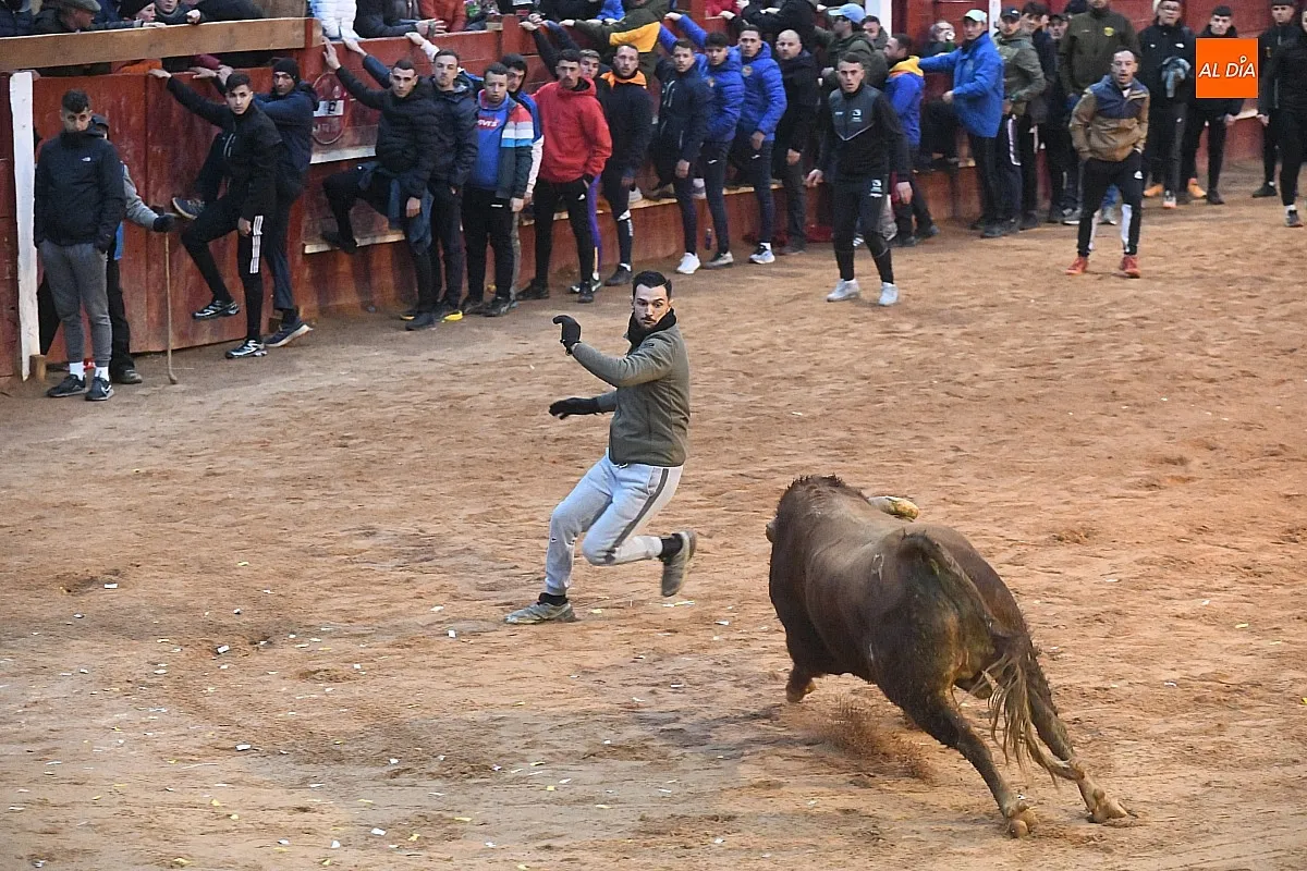 Capea lunes tarde con toros de Juan José Cano Muñoz/ Fotos: Adrián M.Pastor