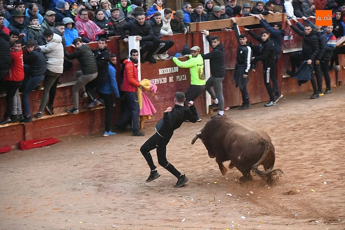 Capea lunes tarde con toros de Juan José Cano Muñoz/ Fotos: Adrián M.Pastor