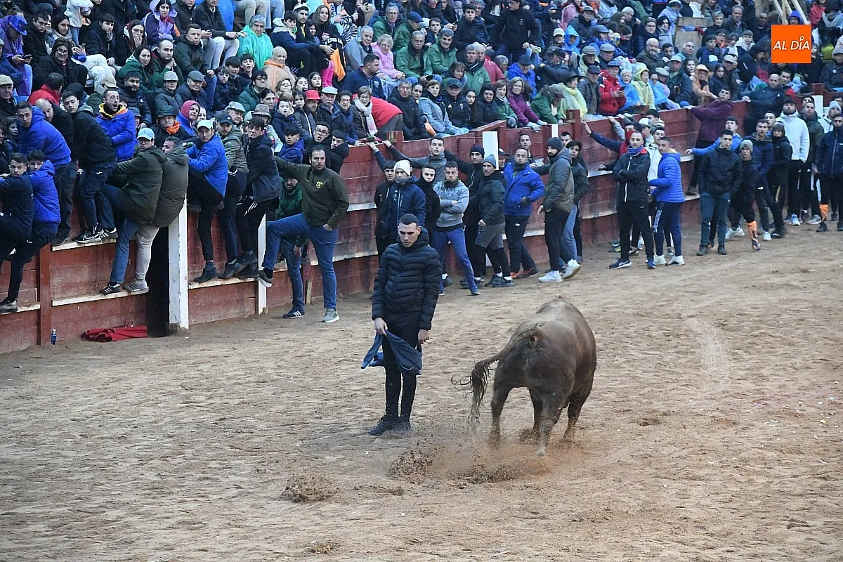 Capea lunes tarde con toros de Juan José Cano Muñoz/ Fotos: Adrián M.Pastor