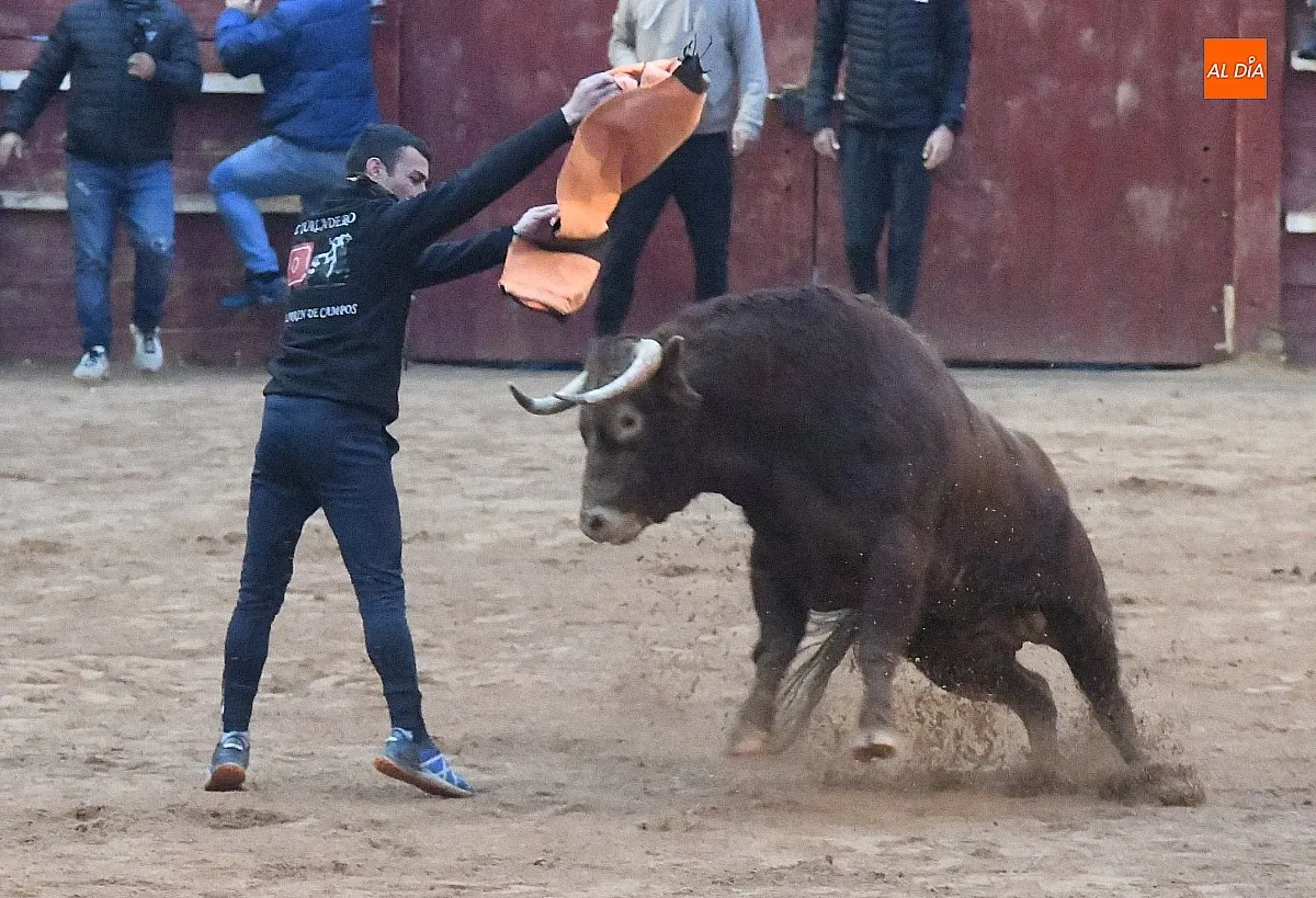 Capea lunes tarde con toros de Juan José Cano Muñoz/ Fotos: Adrián M.Pastor