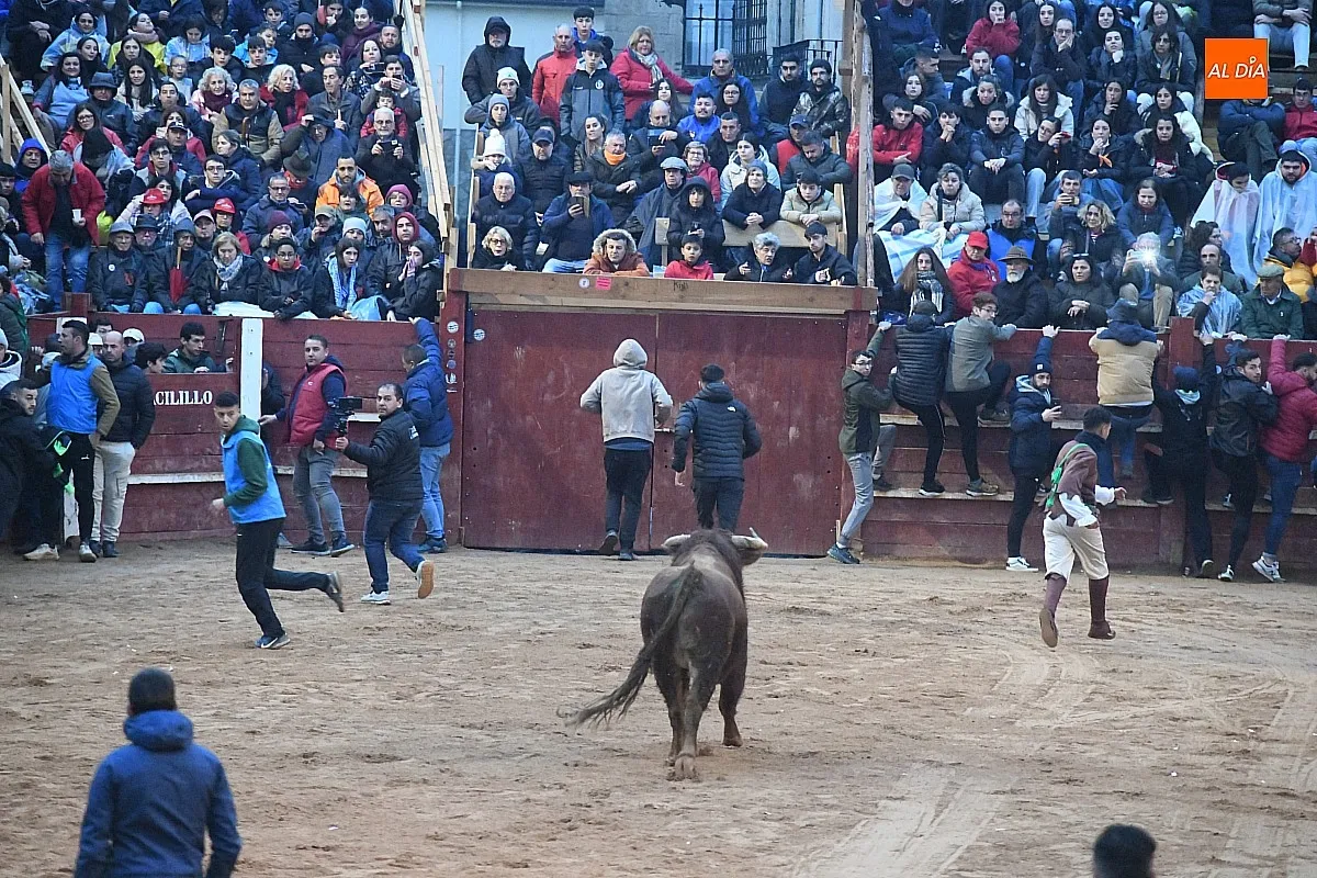 Capea lunes tarde con toros de Juan José Cano Muñoz/ Fotos: Adrián M.Pastor