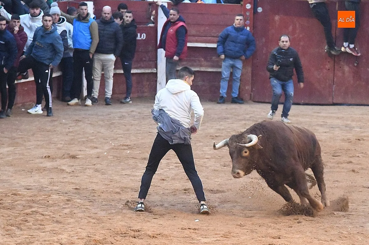 Capea lunes tarde con toros de Juan José Cano Muñoz/ Fotos: Adrián M.Pastor