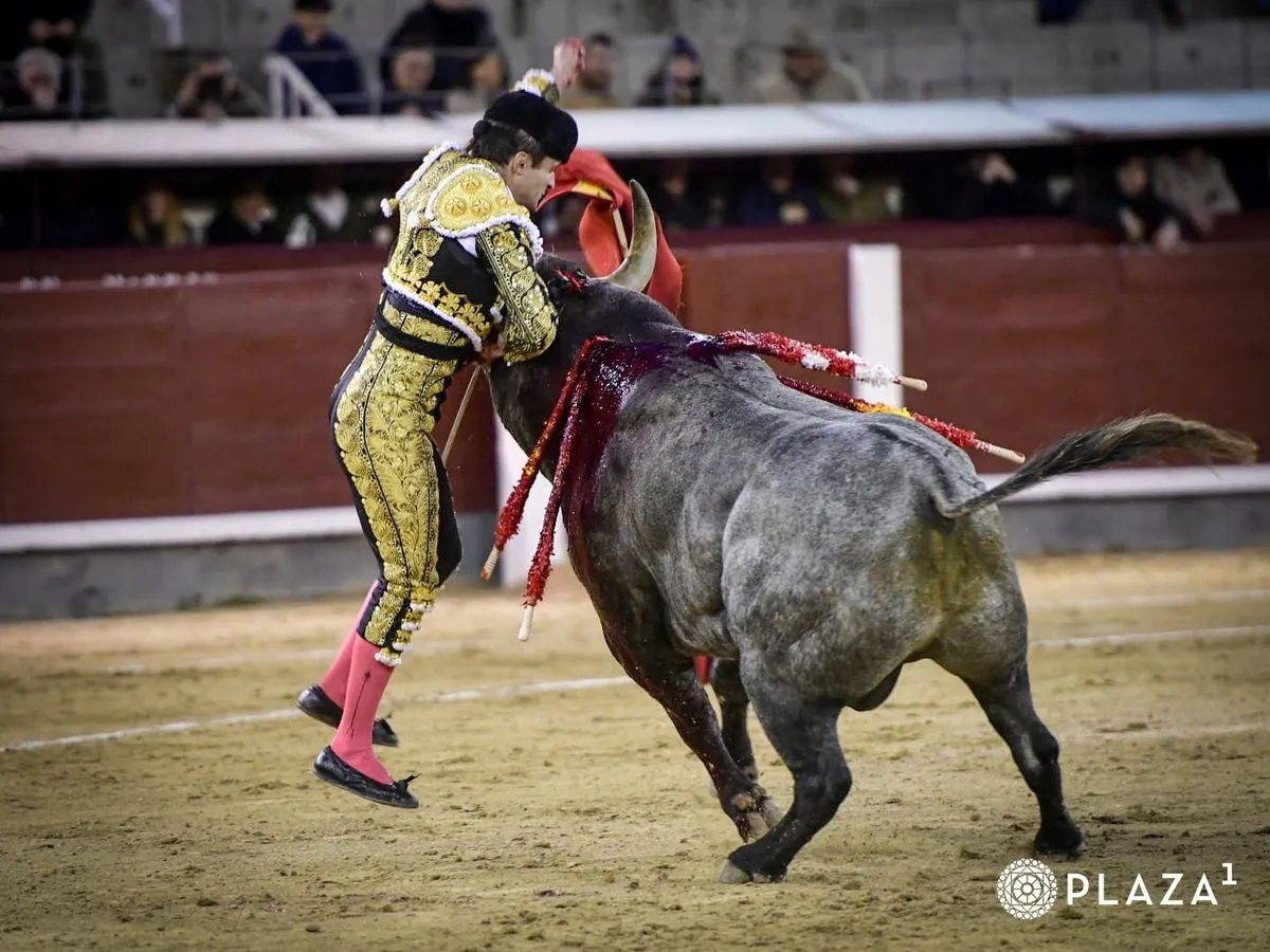 Damián Castaño, cogido en su segundo toro en Las Ventas