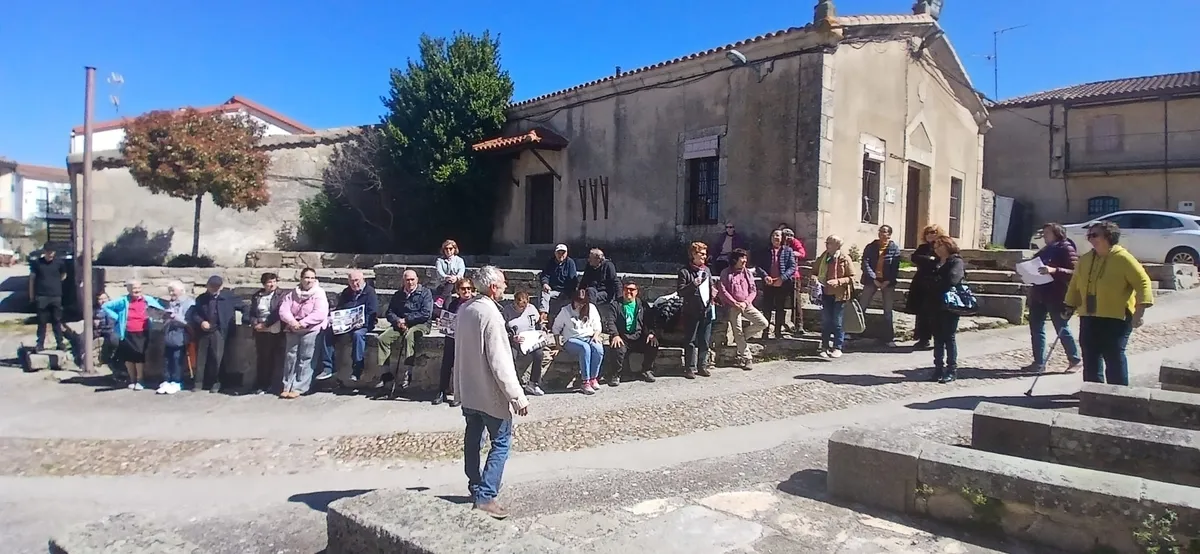 Concentraciones en Monleras