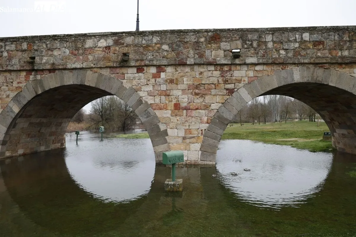 Crecida del río Tormes a su paso por Salamanca. Foto de David Sañudo