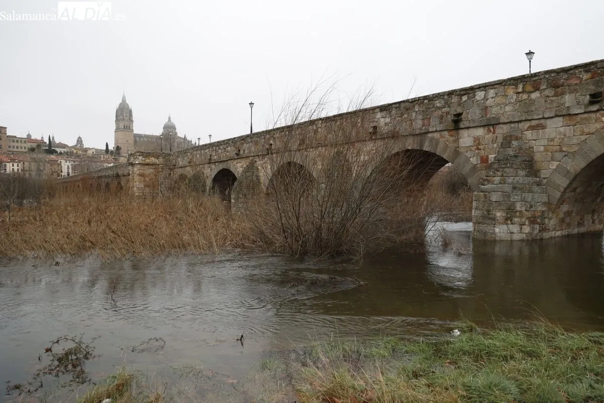 Crecida del río Tormes a su paso por Salamanca. Foto de David Sañudo