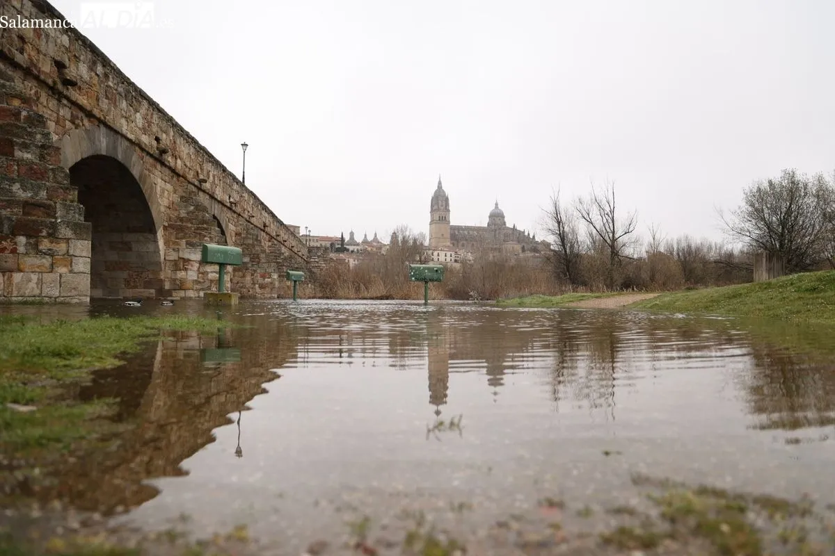 Crecida del río Tormes a su paso por Salamanca. Foto de David Sañudo