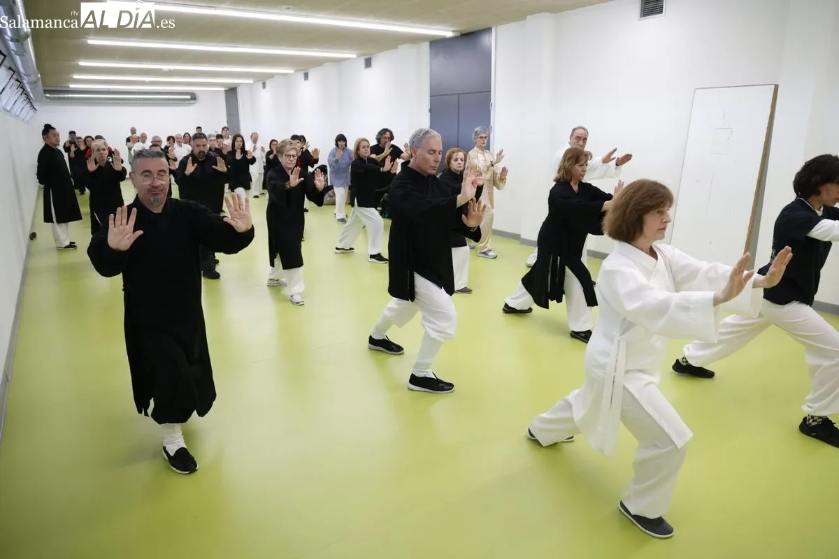 Curso de Taijiquan con el maestro Xu Benli en el pabellón Lazarillo de Tormes de Salamanca. Fotos: David Sañudo