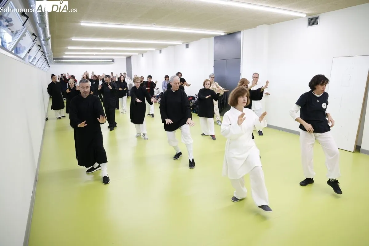 Curso de Taijiquan con el maestro Xu Benli en el pabellón Lazarillo de Tormes de Salamanca. Fotos: David Sañudo
