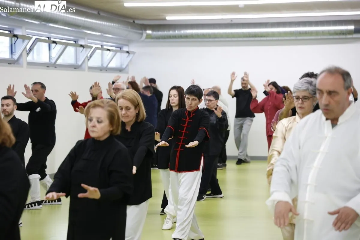 Curso de Taijiquan con el maestro Xu Benli en el pabellón Lazarillo de Tormes de Salamanca. Fotos: David Sañudo