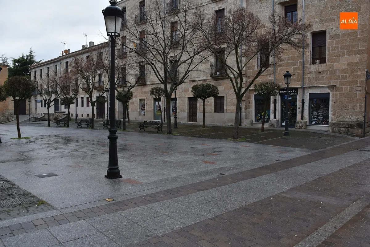 Foto 8 - La Plaza Mayor, la calle Madrid y Bolonia terminan de decir adi&oacute;s al Carnaval