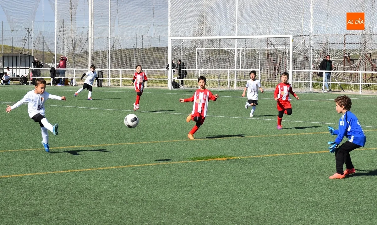 Foto 8 - #M [14-16 MAR] El Prebenjam&iacute;n del Ciudad Rodrigo estrena con una goleada su status de ascendido