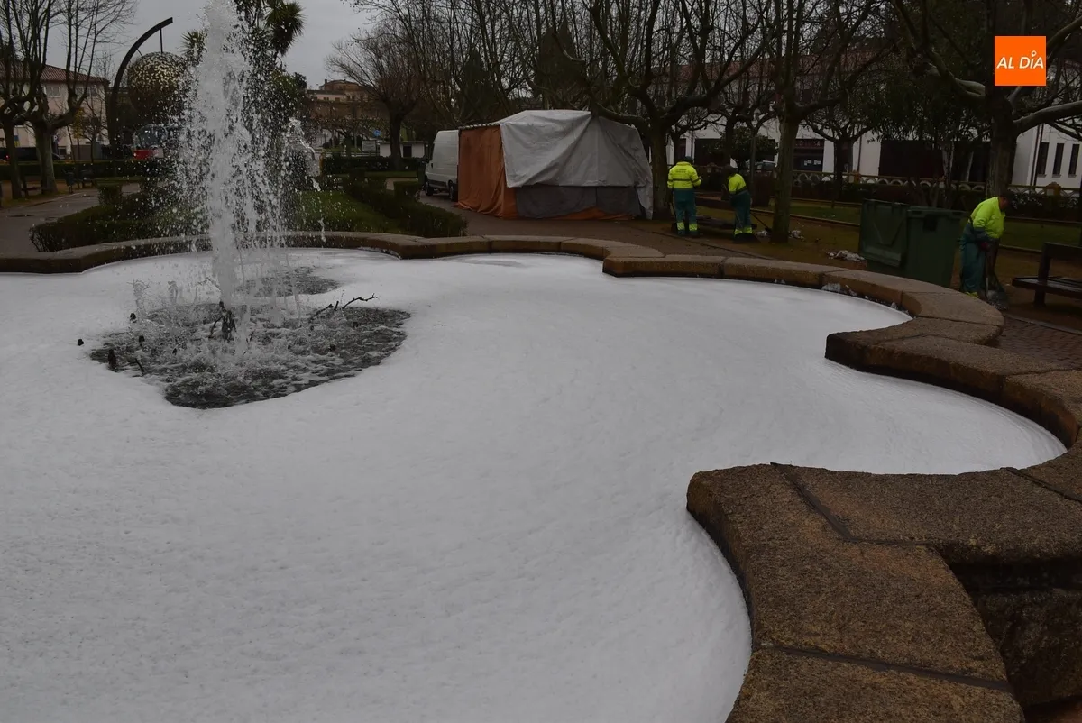 Foto 3 - Operarios de Jardines limpian las fuentes municipales tras el paso del Carnaval