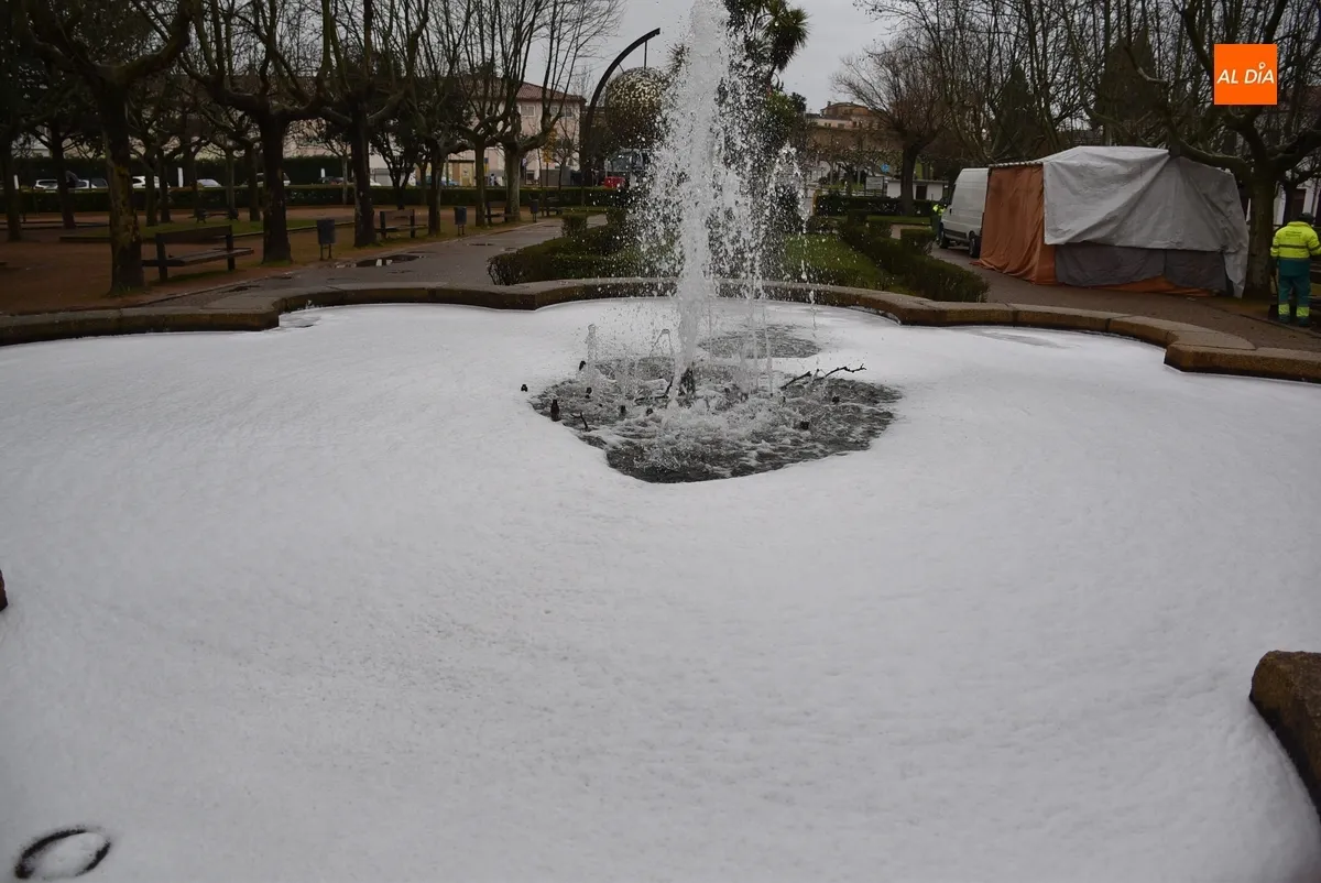 Foto 4 - Operarios de Jardines limpian las fuentes municipales tras el paso del Carnaval