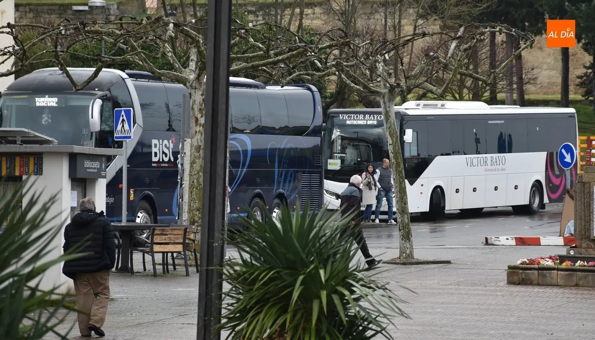 Foto 2 - Turistas de Cantabria y La Rioja recorren Mir&oacute;briga en pleno Mi&eacute;rcoles de Ceniza