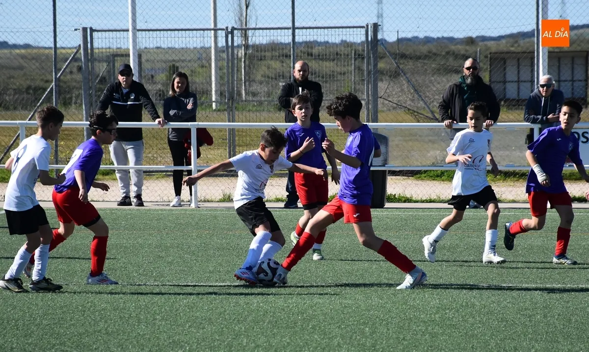 Foto 2 - #M [29-30 MAR] Un gol de Agudo le da la victoria a la UD Mirobrigense en el Francisco Mateos