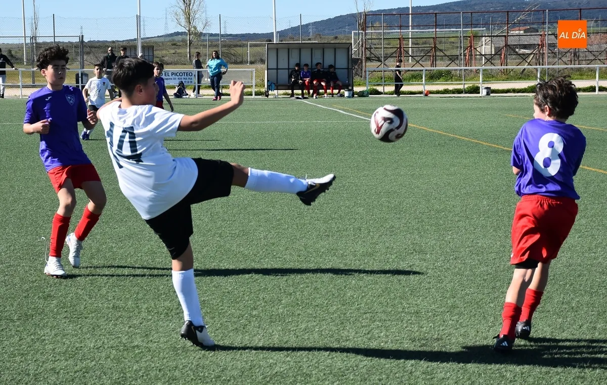 Foto 5 - #M [29-30 MAR] Un gol de Agudo le da la victoria a la UD Mirobrigense en el Francisco Mateos