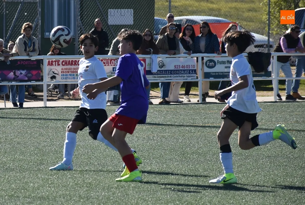 Foto 7 - #M [29-30 MAR] Un gol de Agudo le da la victoria a la UD Mirobrigense en el Francisco Mateos