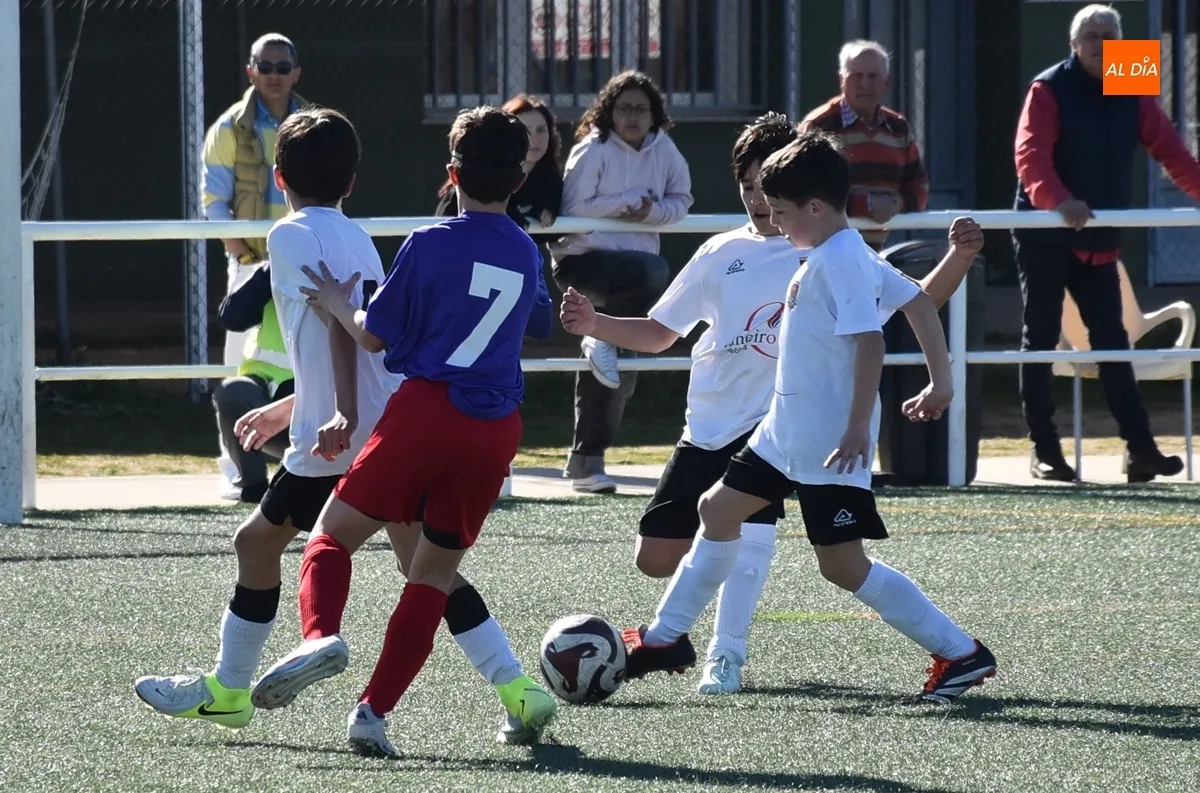 Foto 11 - #M [29-30 MAR] Un gol de Agudo le da la victoria a la UD Mirobrigense en el Francisco Mateos