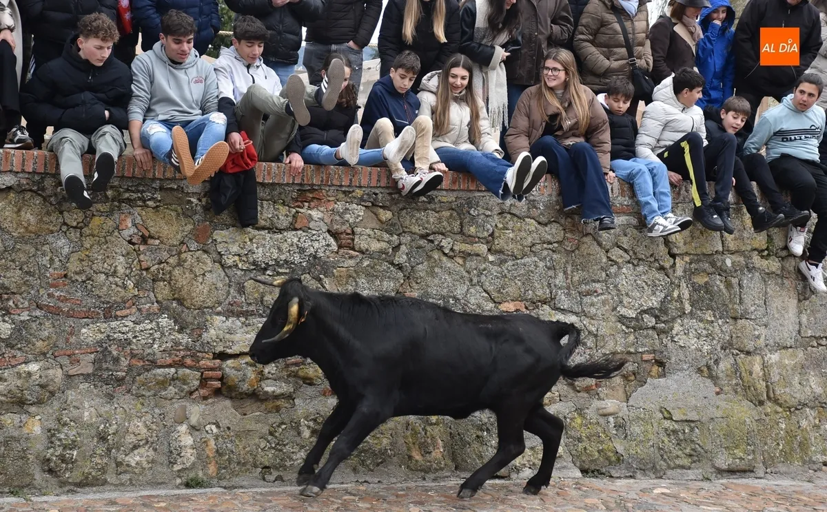 Foto 2 - La capea de vaquillas remata, tambi&eacute;n con gotas de lluvia, el apartado taurino del Carnaval 2025
