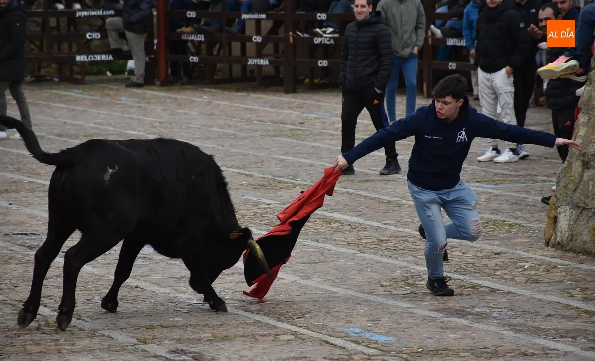 Foto 4 - La capea de vaquillas remata, tambi&eacute;n con gotas de lluvia, el apartado taurino del Carnaval 2025