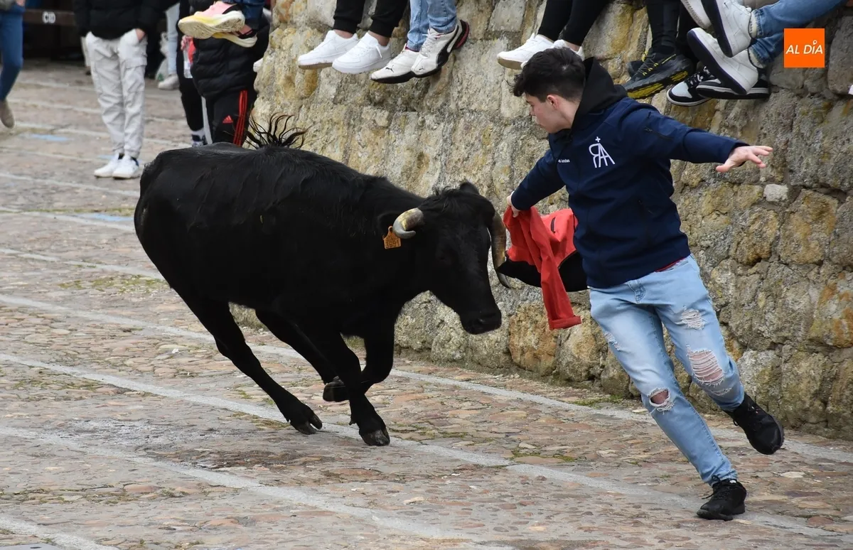 Foto 5 - La capea de vaquillas remata, tambi&eacute;n con gotas de lluvia, el apartado taurino del Carnaval 2025
