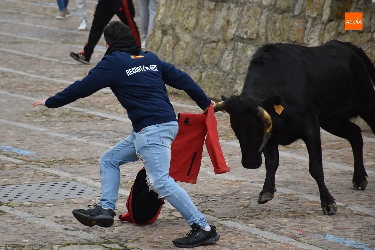 Foto 6 - La capea de vaquillas remata, tambi&eacute;n con gotas de lluvia, el apartado taurino del Carnaval 2025