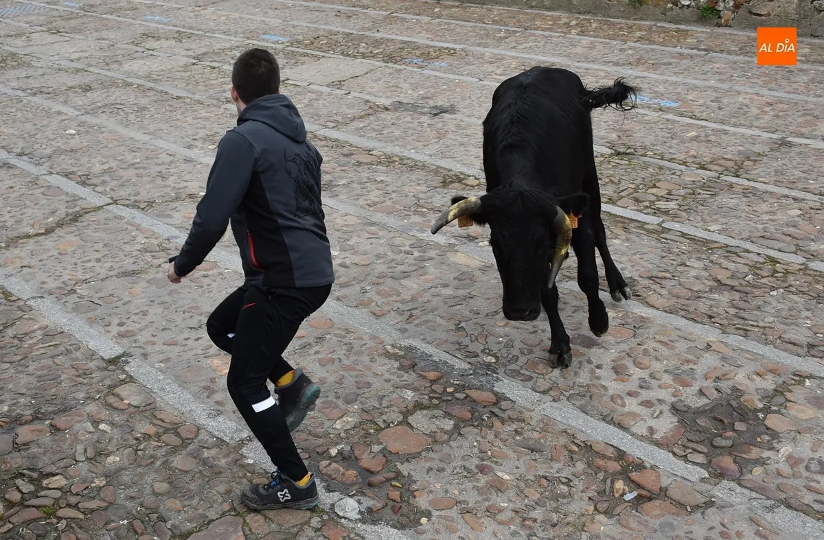 Foto 8 - La capea de vaquillas remata, tambi&eacute;n con gotas de lluvia, el apartado taurino del Carnaval 2025