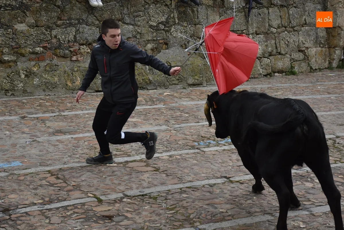 Foto 9 - La capea de vaquillas remata, tambi&eacute;n con gotas de lluvia, el apartado taurino del Carnaval 2025