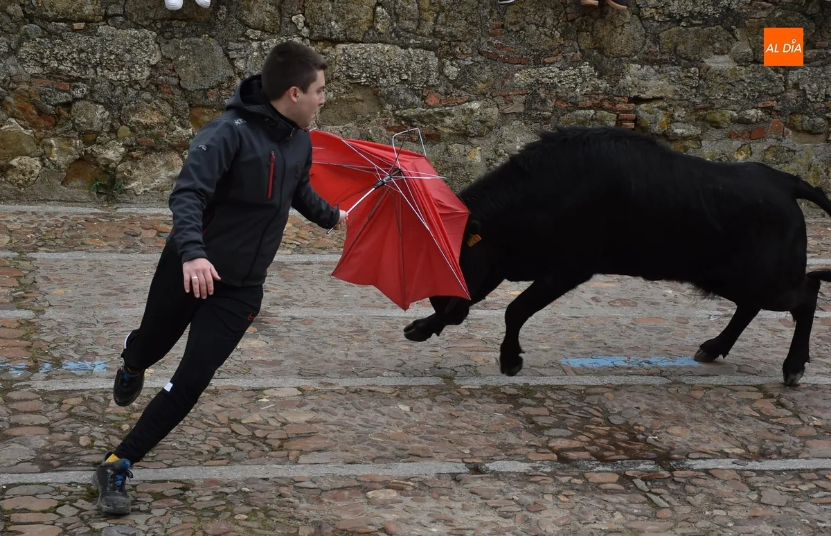 Foto 10 - La capea de vaquillas remata, tambi&eacute;n con gotas de lluvia, el apartado taurino del Carnaval 2025