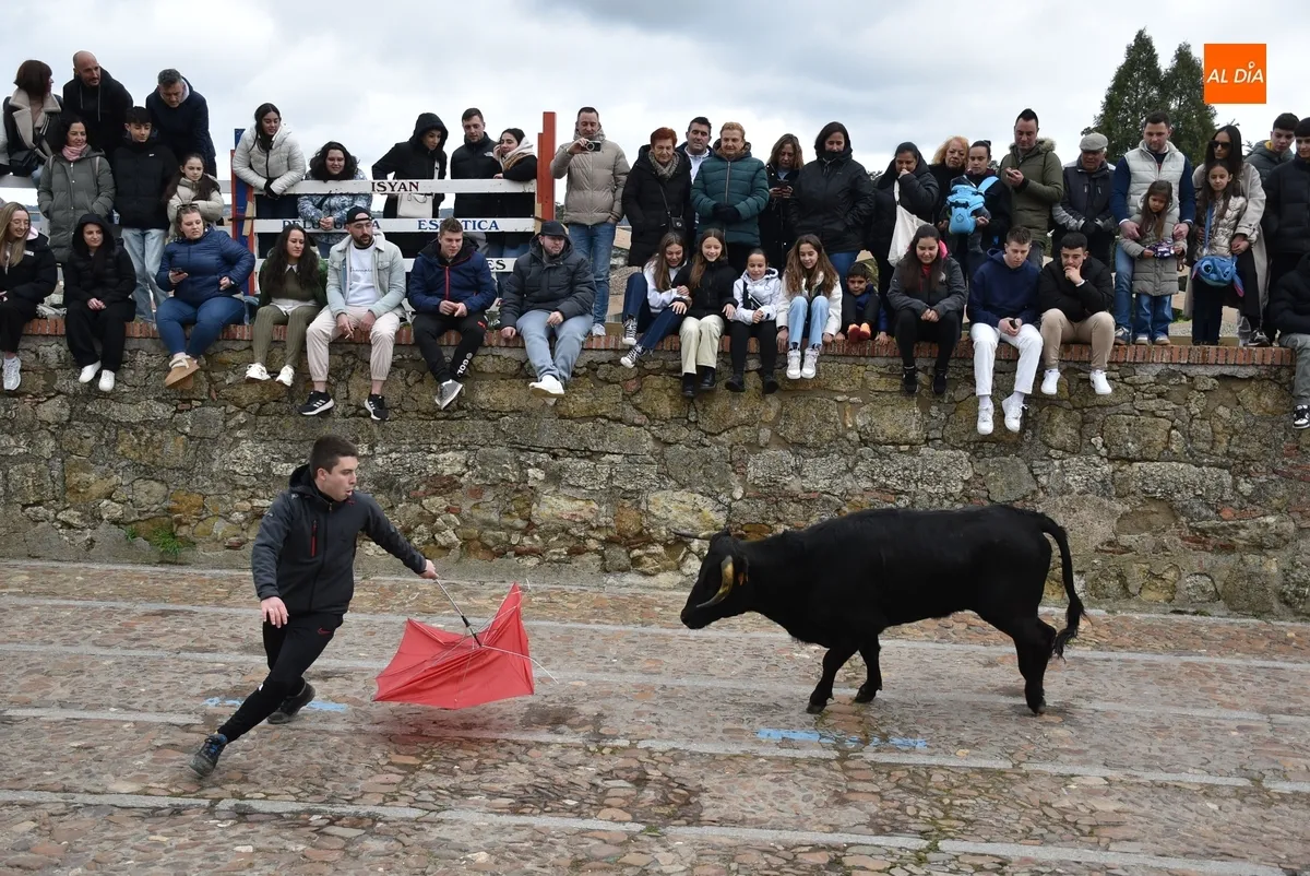 Foto 11 - La capea de vaquillas remata, tambi&eacute;n con gotas de lluvia, el apartado taurino del Carnaval 2025