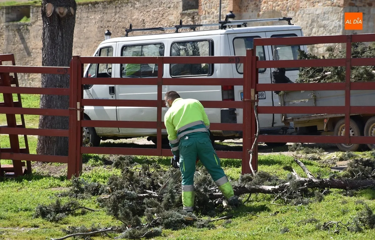 Foto 6 - El alcalde llama a la &ldquo;precauci&oacute;n&rdquo;, animando a quedarse en casa, ante la colecci&oacute;n de incidencias