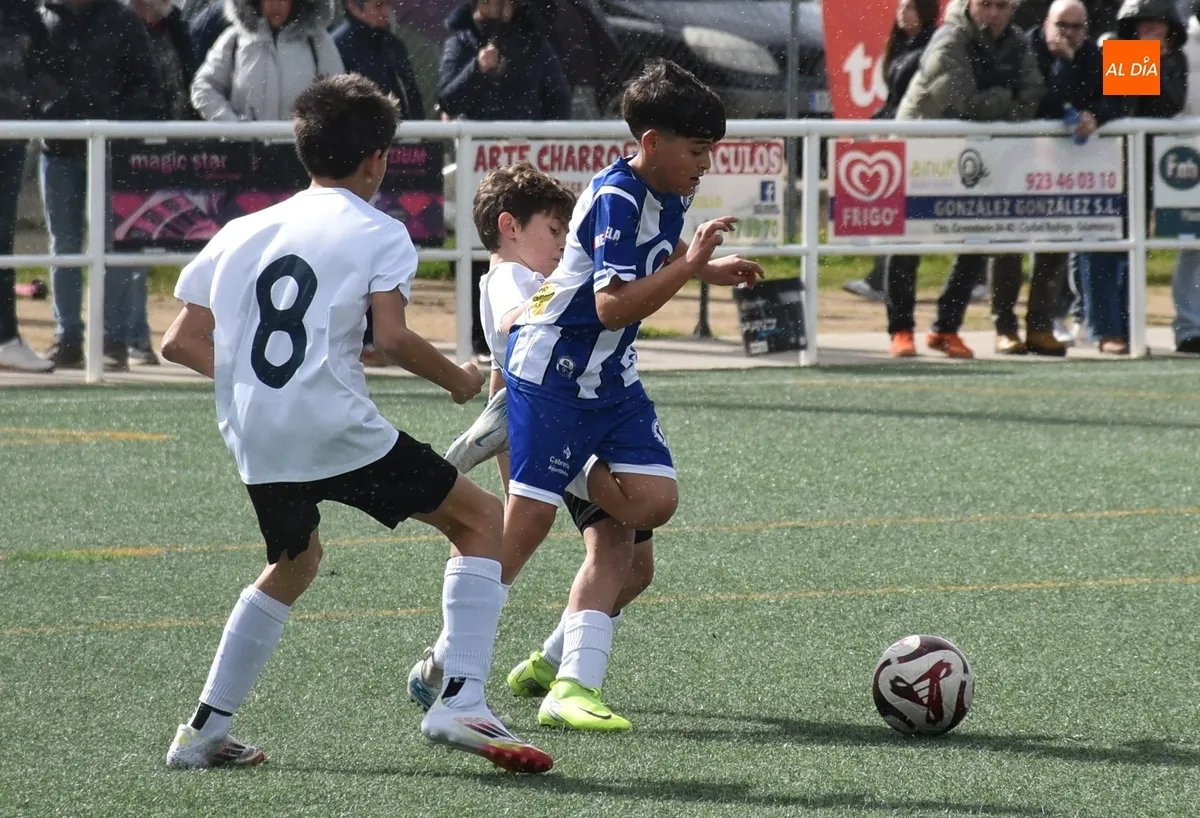 Foto 8 - Doble victoria del Ciudad Rodrigo CF en sus duelos de F&uacute;tbol 7 ante Cabrerizos