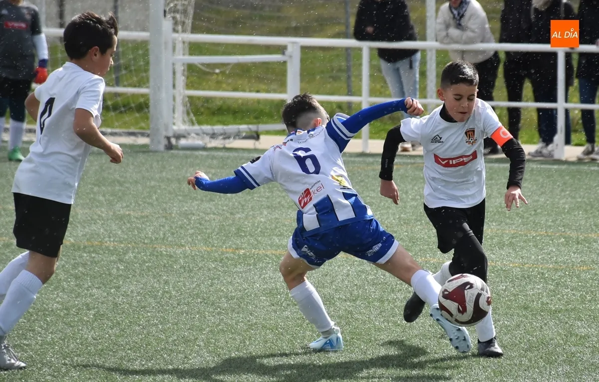 Foto 9 - Doble victoria del Ciudad Rodrigo CF en sus duelos de F&uacute;tbol 7 ante Cabrerizos