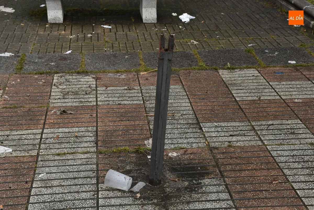 Foto 5 - Operarios de Jardines limpian las fuentes municipales tras el paso del Carnaval