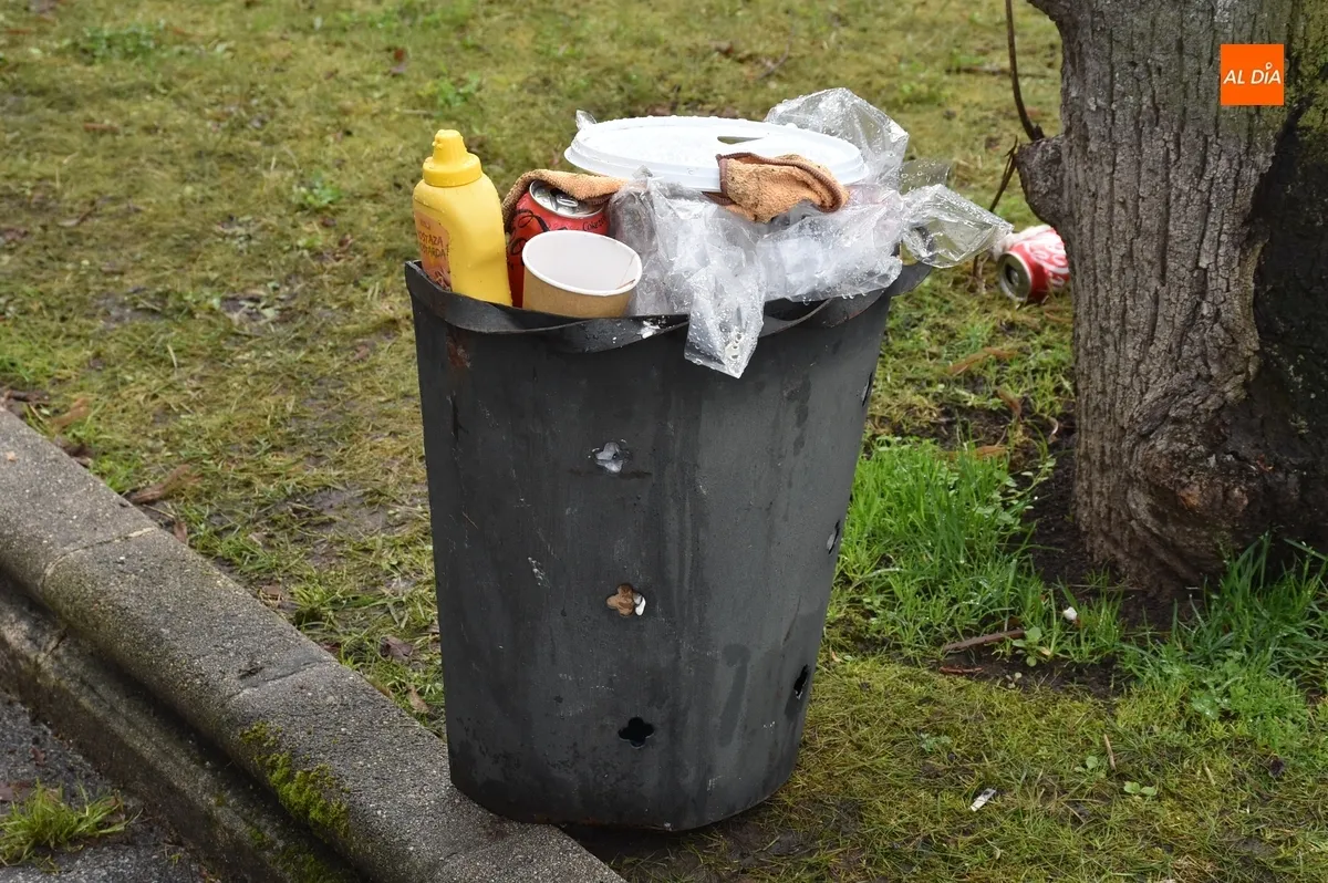 Foto 6 - Operarios de Jardines limpian las fuentes municipales tras el paso del Carnaval