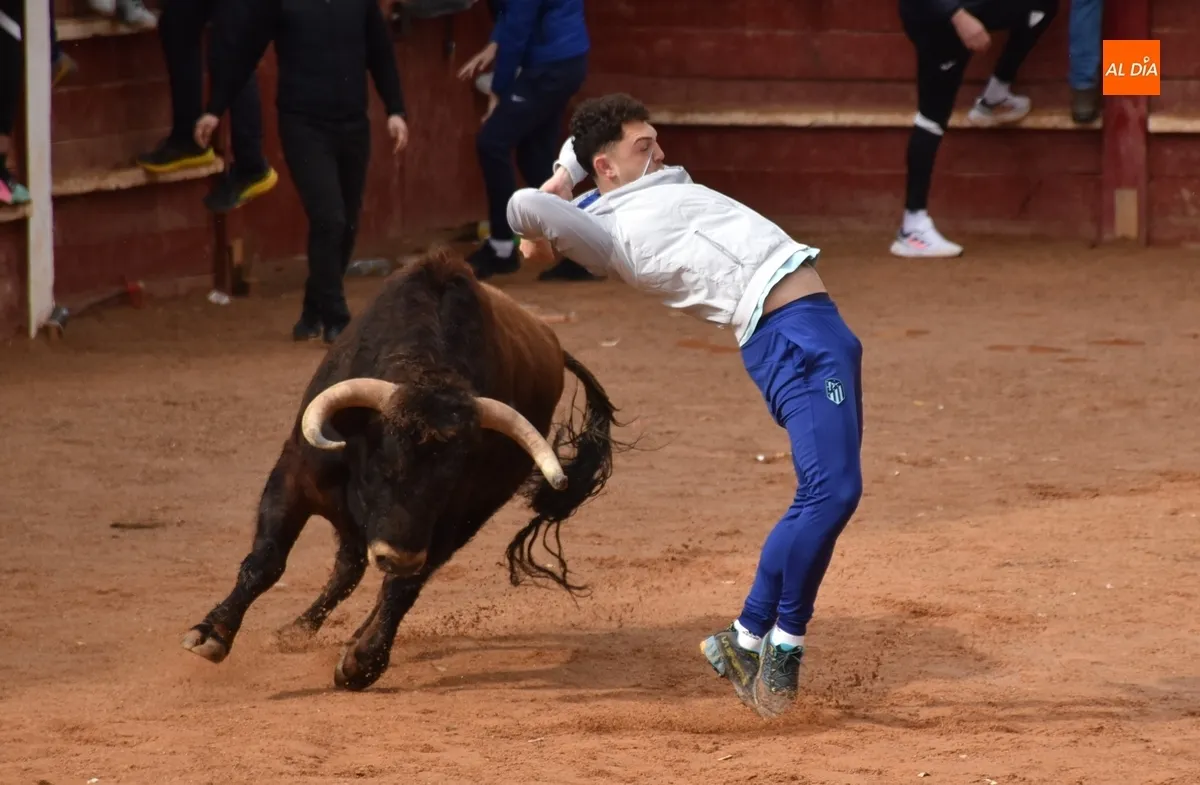 Foto 4 - Buen juego aparte del drama en una capea que dio paso, tras un retraso, a un correcto desencierro