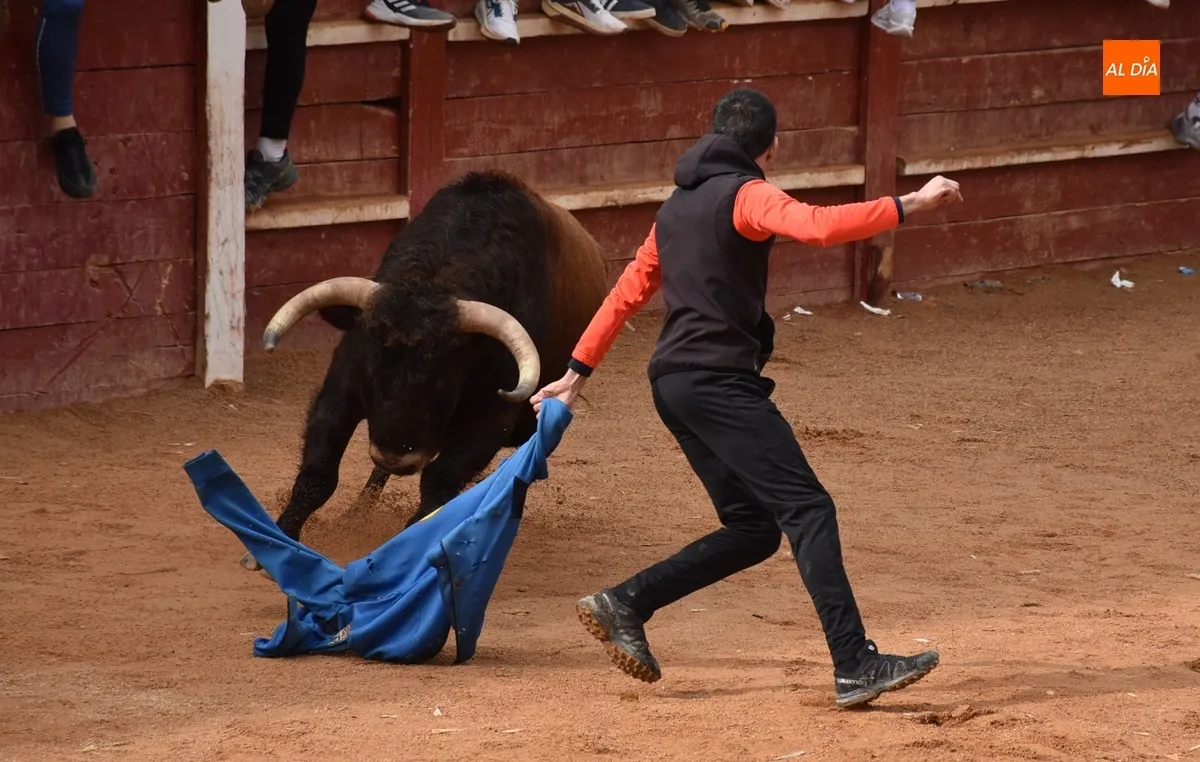 Foto 5 - Buen juego aparte del drama en una capea que dio paso, tras un retraso, a un correcto desencierro