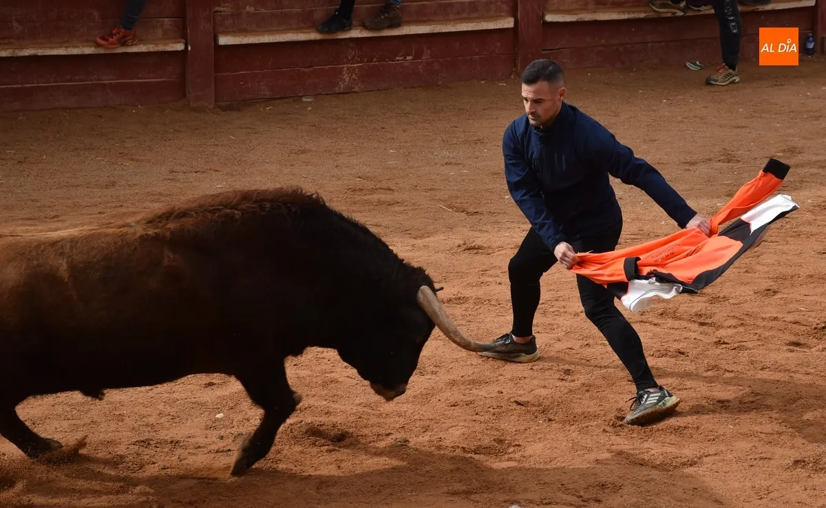 Foto 7 - Buen juego aparte del drama en una capea que dio paso, tras un retraso, a un correcto desencierro