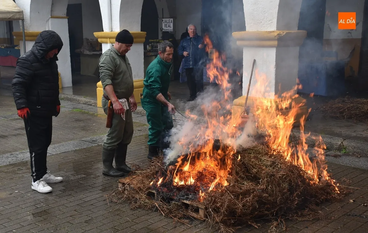 Foto 3 - Ciudad Rodrigo monta su &lsquo;altar&rsquo; c&aacute;rnico en una lluviosa ma&ntilde;ana con m&aacute;s p&uacute;blico del esperado