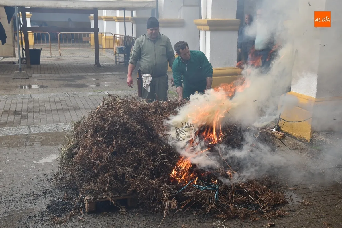 Foto 5 - Ciudad Rodrigo monta su &lsquo;altar&rsquo; c&aacute;rnico en una lluviosa ma&ntilde;ana con m&aacute;s p&uacute;blico del esperado