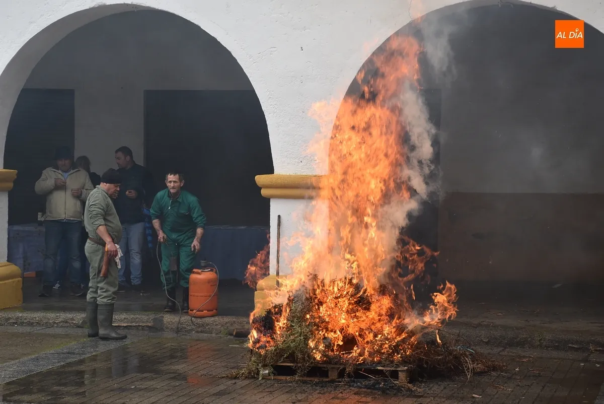 Foto 6 - Ciudad Rodrigo monta su &lsquo;altar&rsquo; c&aacute;rnico en una lluviosa ma&ntilde;ana con m&aacute;s p&uacute;blico del esperado