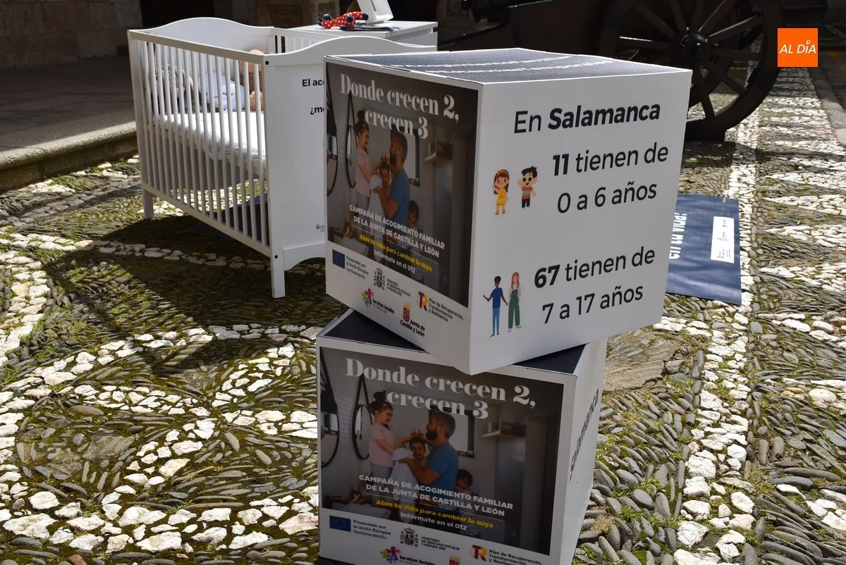 Foto 3 - Cruz Roja busca en Ciudad Rodrigo personas interesadas en acoger ni&ntilde;@s y adolescentes