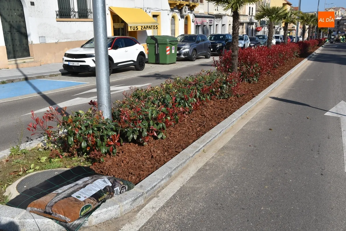 Foto 2 - Esparcida corteza de pino por la mediana de la Avenida de Espa&ntilde;a para que no crezca la hierba