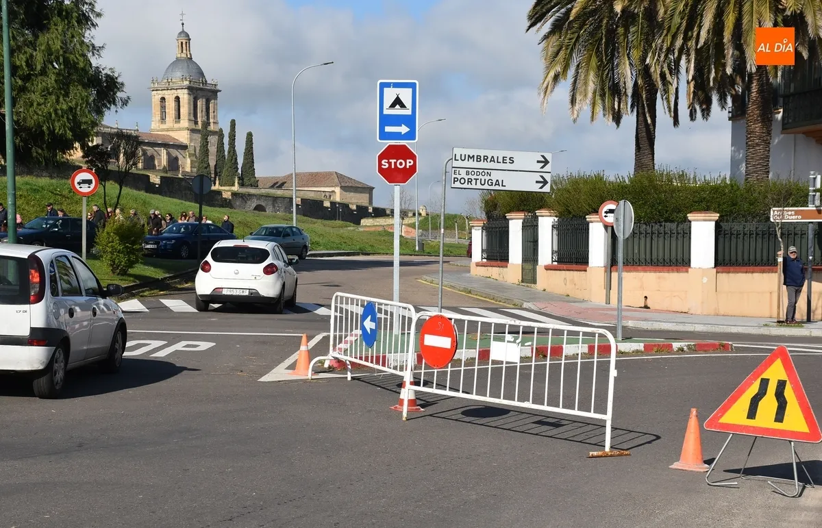 Foto 4 - Esparcida corteza de pino por la mediana de la Avenida de Espa&ntilde;a para que no crezca la hierba