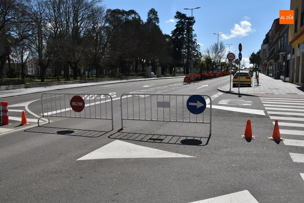 Foto 5 - Esparcida corteza de pino por la mediana de la Avenida de Espa&ntilde;a para que no crezca la hierba